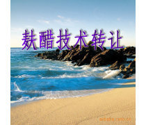 產(chǎn)品庫技術(shù)轉(zhuǎn)讓 優(yōu)勢、要點(diǎn)與實(shí)施策略